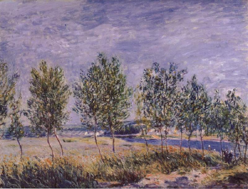Claude Monet Poplars on a River Bank oil painting picture